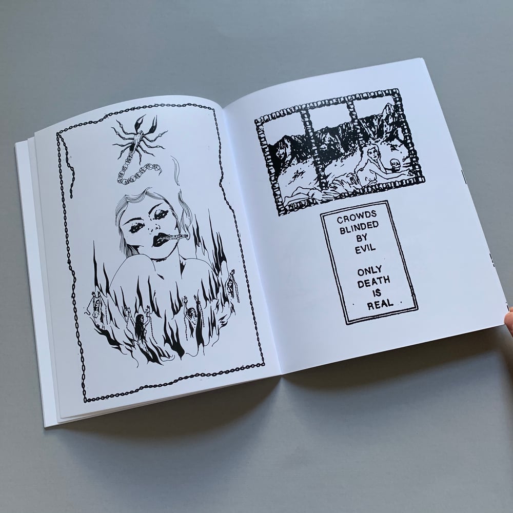 Butterfly Diary