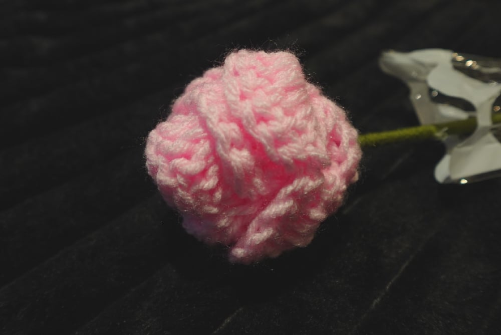 Image of Single Crochet Rose