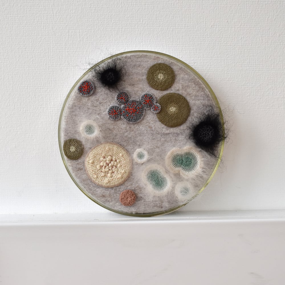 Image of 16cm Wall hung petri dish