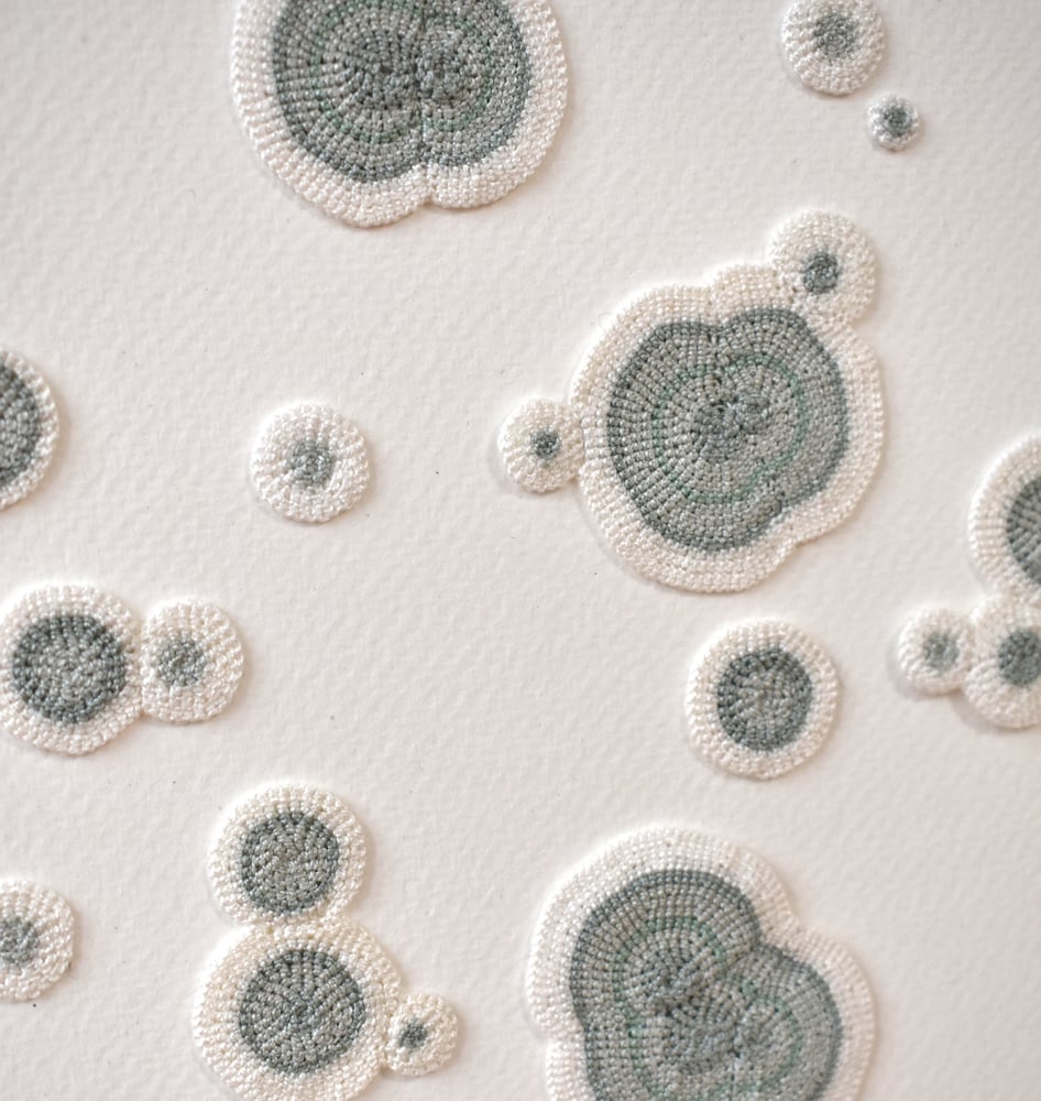 Image of Textile moulds on paper (framed)