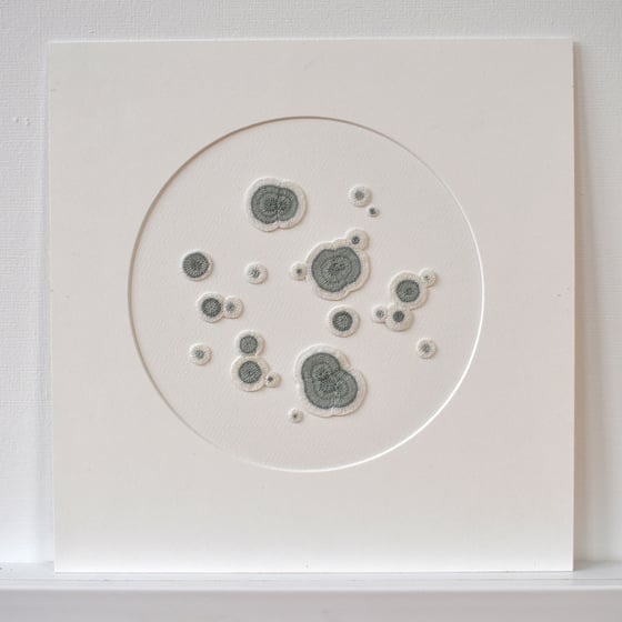 Image of Textile moulds on paper (framed)