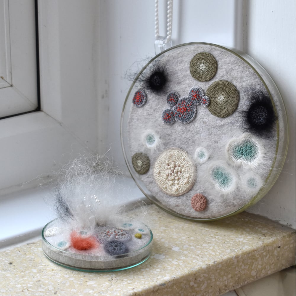 Image of 16cm Wall hung petri dish