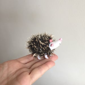 Image of Greta the Tiny Hedgehog 