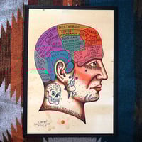 Image of Lockdown Phrenology A4 Print
