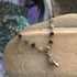 Mother Earth Anklet with Sea Shell Beach Charm Image 2