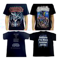 Image 1 of Insidious Decrepancy