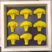 Everlasting joy  9 Broccolis