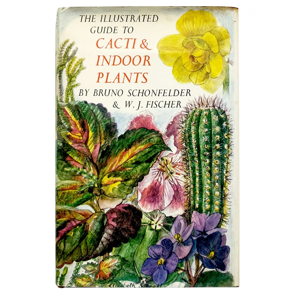The Illustrated Guide to Cacti & Indoor Plants