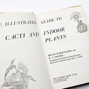 The Illustrated Guide to Cacti & Indoor Plants