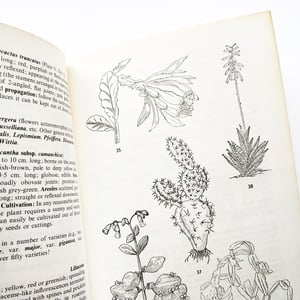 The Illustrated Guide to Cacti & Indoor Plants