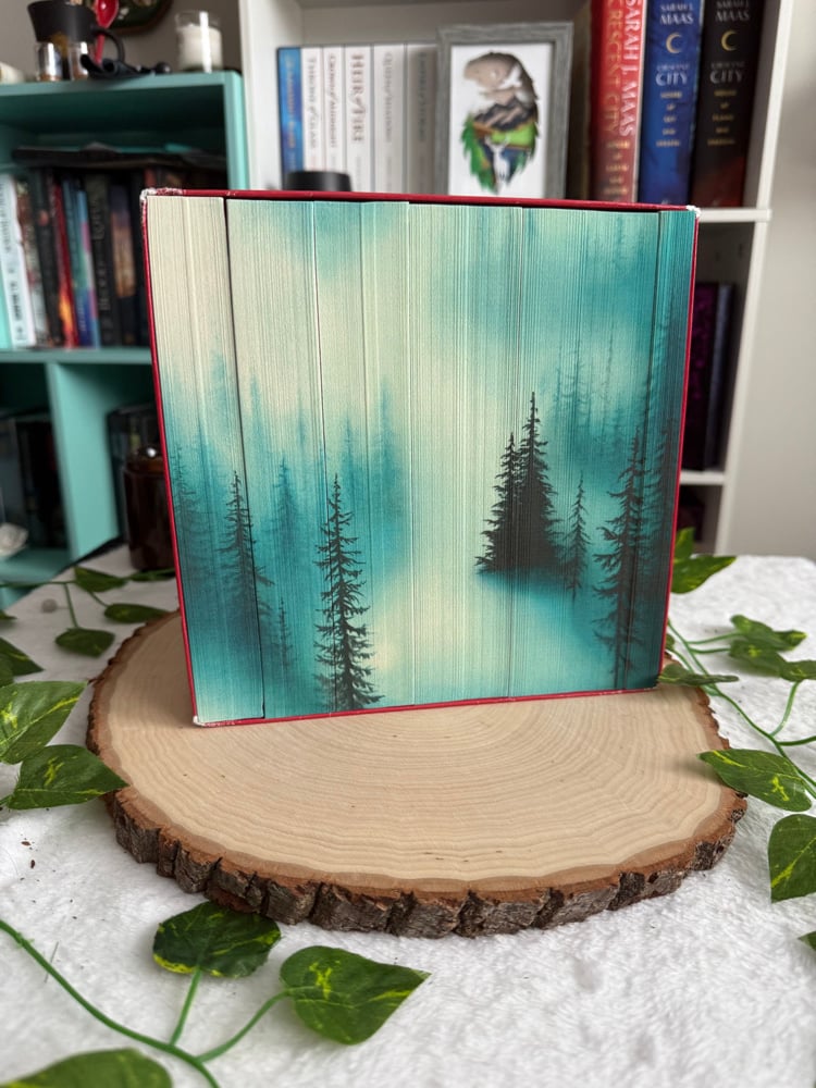 Image of Twilight White Box Set