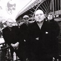 In Vino Veritas "Räudiges Hamburg"