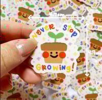 Image 2 of “Never stop growing” clear vinyl sticker flake