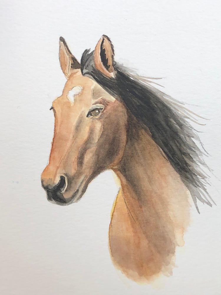 Image of  8x10 or 9x12