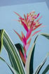 'Jungle Stripe' Giclée Print  Image 4