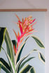 'Jungle Stripe' Giclée Print  Image 2