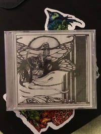 Image 1 of 2017 Split Collection CD (Clipped Beaks // Silk Panic)