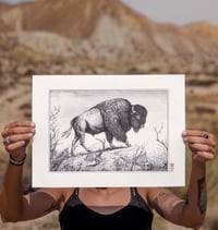 Image 2 of Visundr · Print