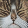 Small Commisioned Paintings of Cats