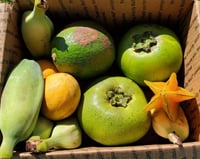 Tropical Fruit Variety Box