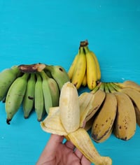 Banana Box