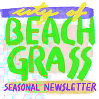 Beachgrass Newsletter Year 5