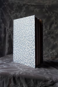 Blue and white journal with tan endpages