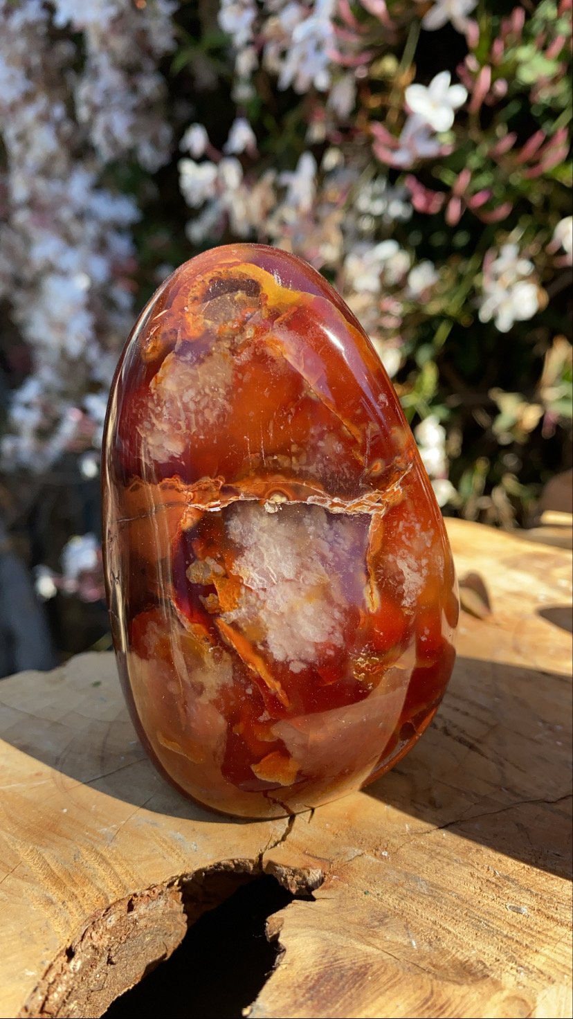 Image of Carnelian Freeform