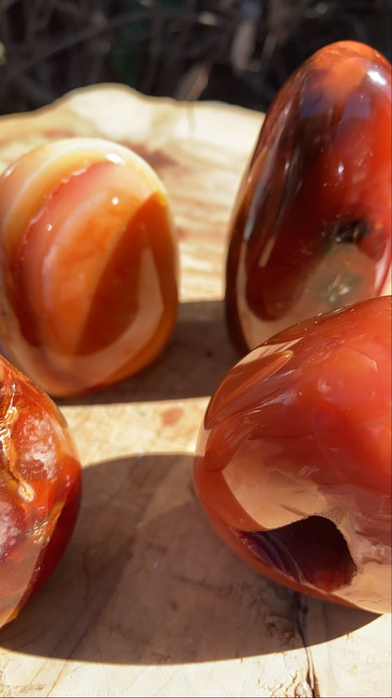 Image of Carnelian Freeform