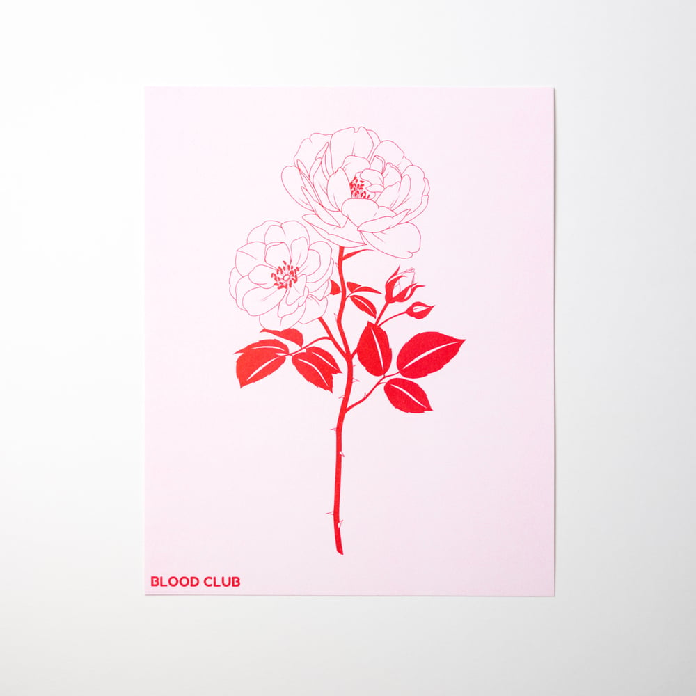 Image of ENGLISH ROSE (red variant) 8x10” print
