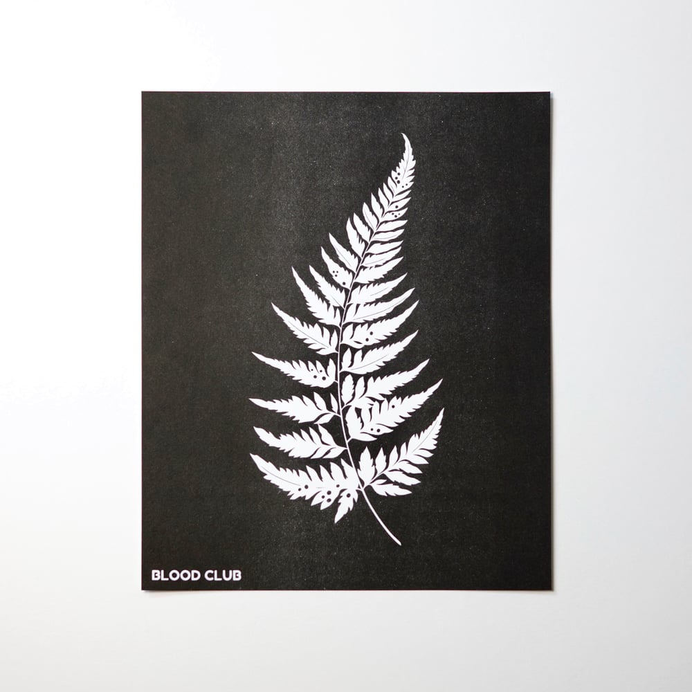 Image of FERN 8x10” print