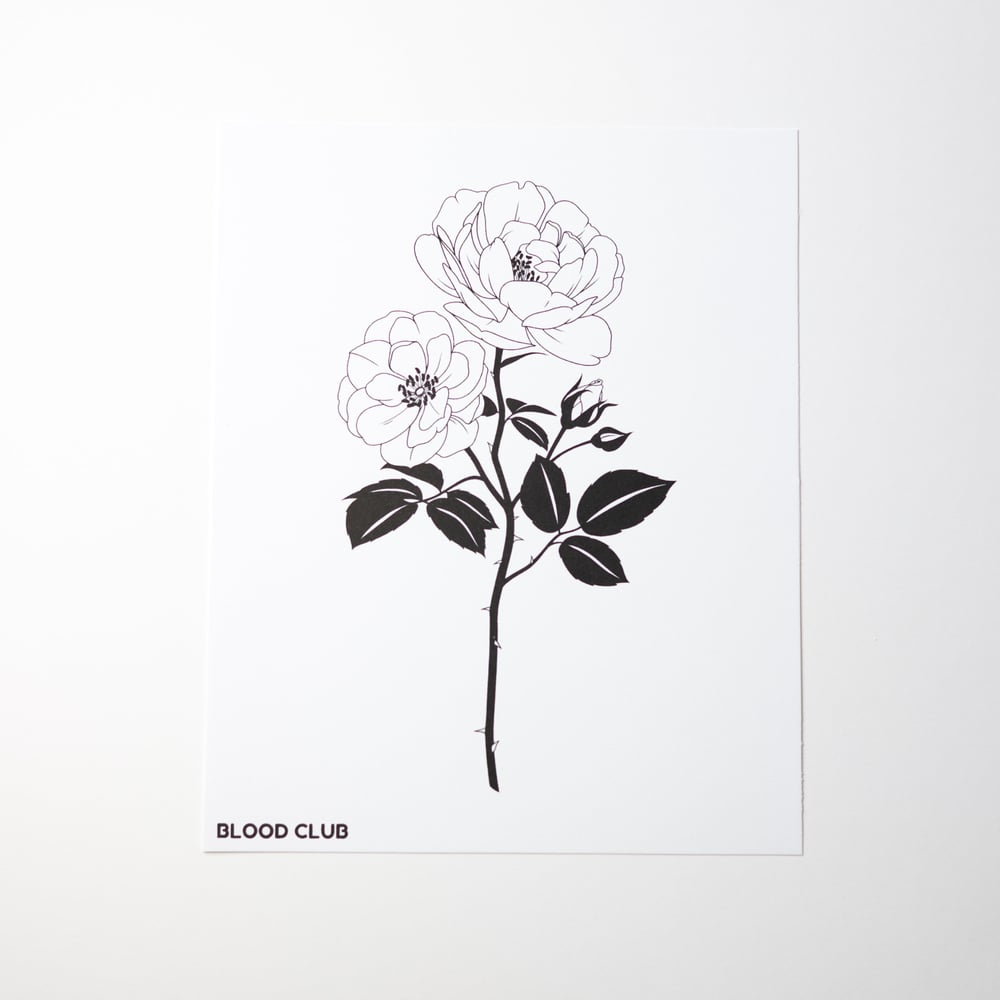 Image of ENGLISH ROSE (black variant) 8x10” print 