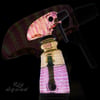CERTO x FTIME SQUIRT BOTTLE