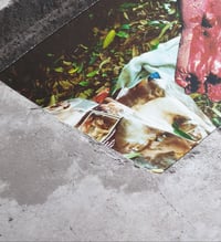 Image 3 of 'Bedroom Circa 1998'