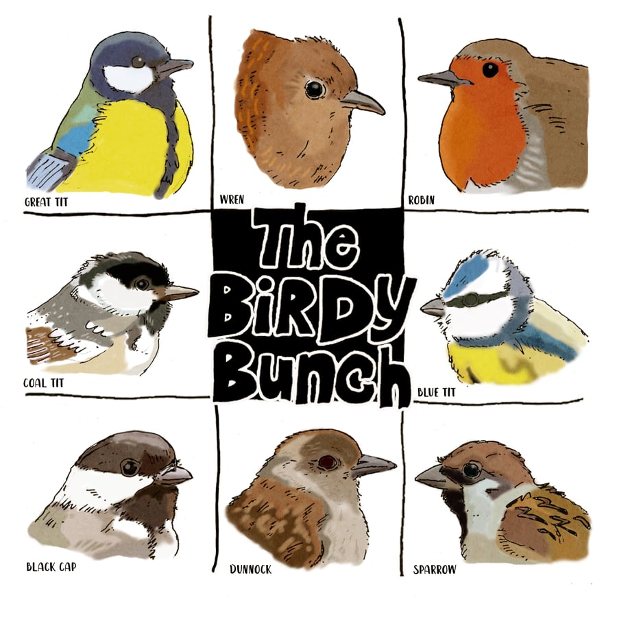 Image of The Birdy Bunch