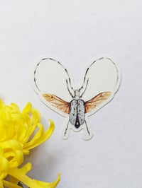 Image 4 of Longhorn Beetle Vinyl Sticker