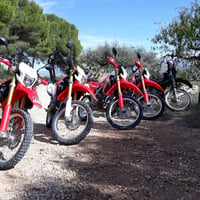 Motorcycle Rental Only  - Solo alquiler de motocicletas