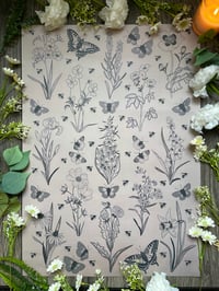 Wildflowers and Pollinators A2