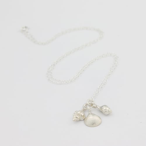 Image of silver shell necklace
