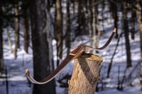 Image 2 of 2020-11: Black Walnut Recurve Hybrid