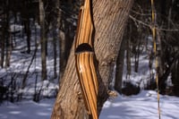 Image 5 of 2020-11: Black Walnut Recurve Hybrid