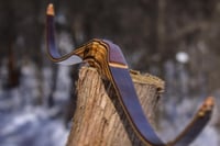 Image 1 of 2020-11: Black Walnut Recurve Hybrid