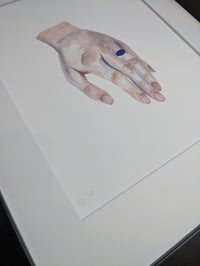 Image 3 of Safety net