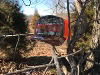 CAMO/ORANGE HAT