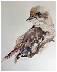 Image 1 of Laughing kookaburra