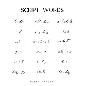 Image of Script Words 