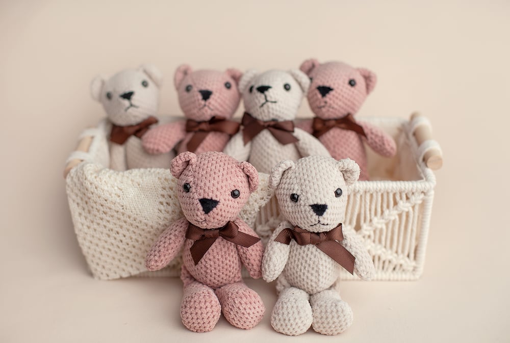 Image of Sitter Bear Lovie
