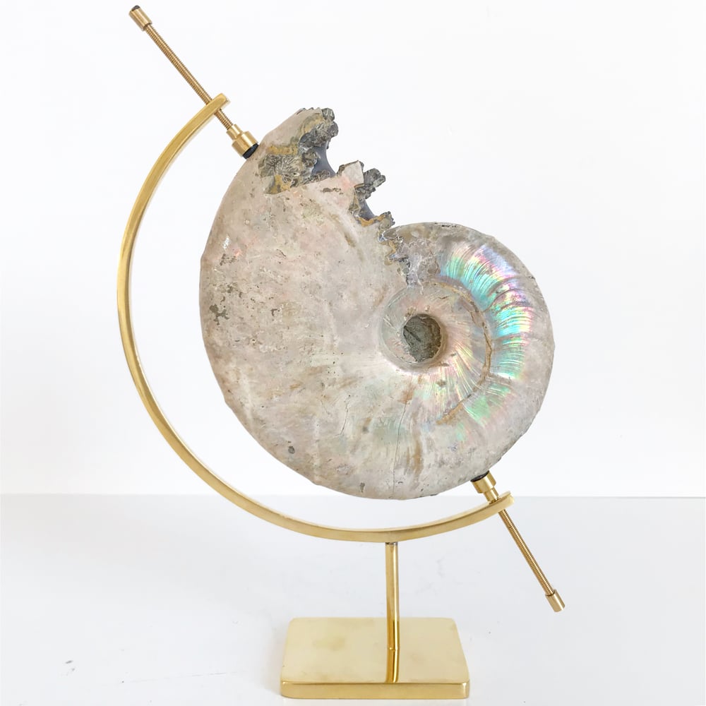 Image of Iridescent Rainbow Ammonite No.37 + Brass Arc Stand