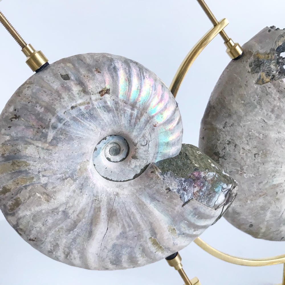 Image of Iridescent Rainbow Ammonite No.25 + Brass Arc Stand