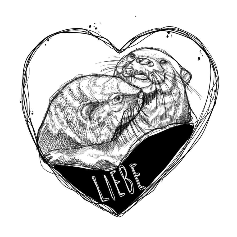 Image of Otter Liebe 